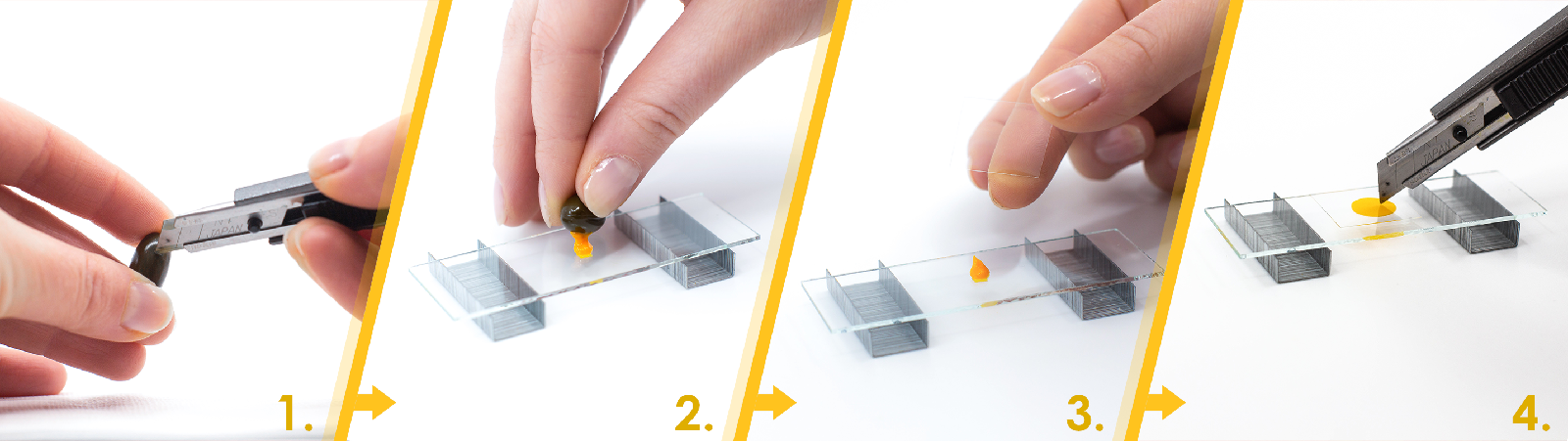 Step-by-step process of setting up the microscope and CoQ10 preparation